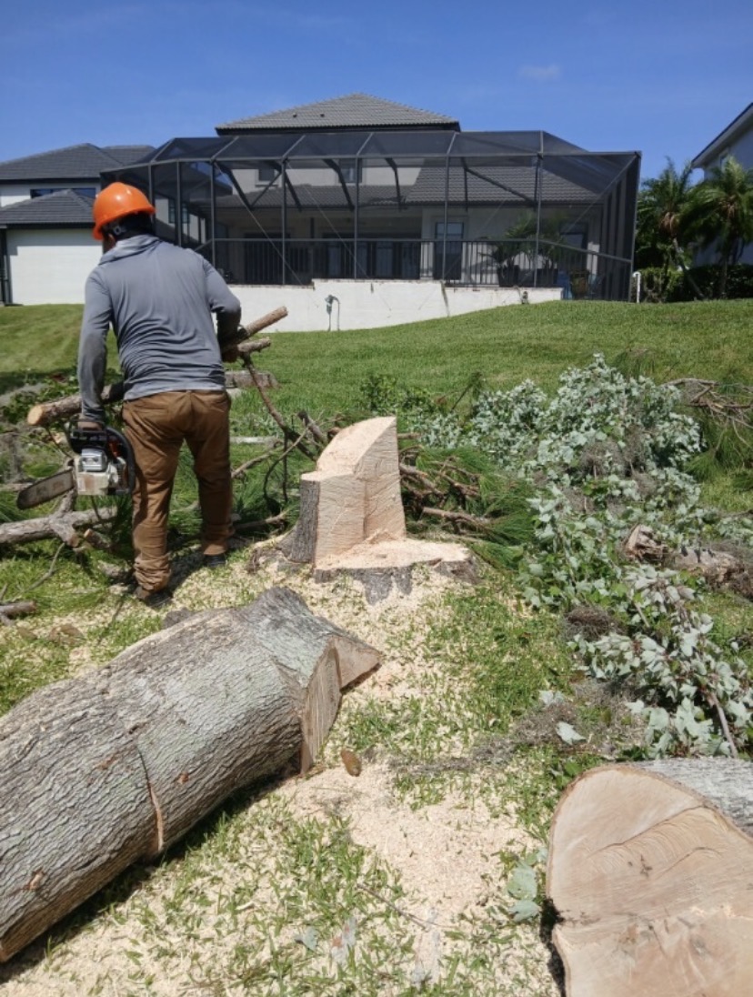 Crew cutting tree branches and logs in a backyard