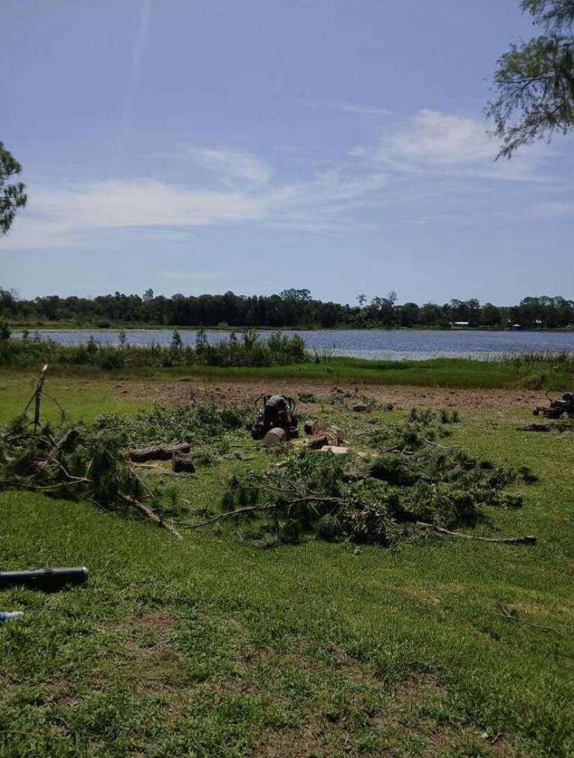 Cut branches being gathered in a lakeside yard