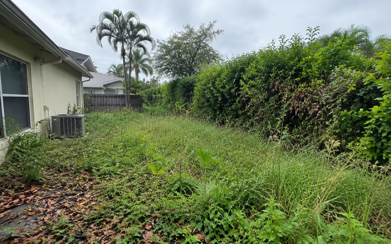Yard Cleanup